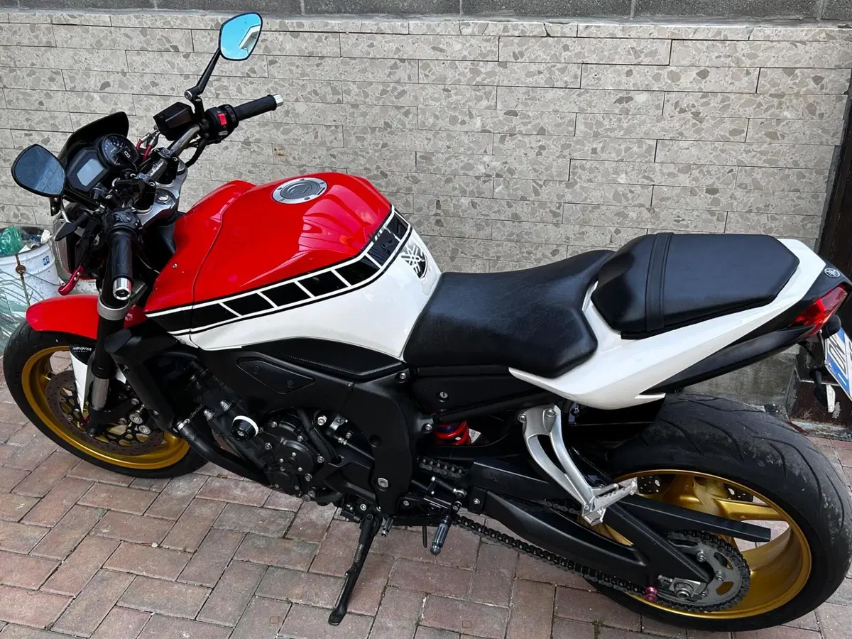 Yamaha FZ1 (2006 - 16) (8)