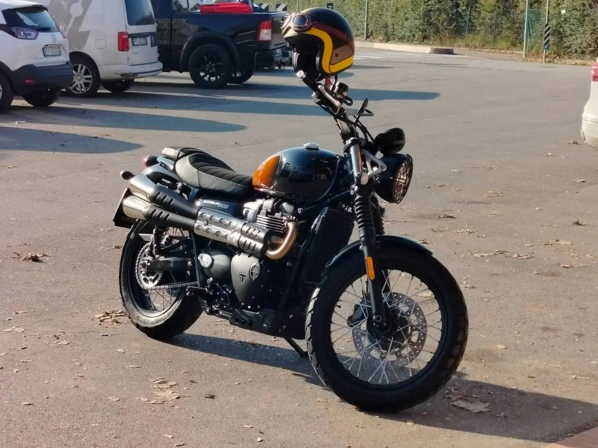Triumph Scrambler 900 Stealth Edition (2024) (3)