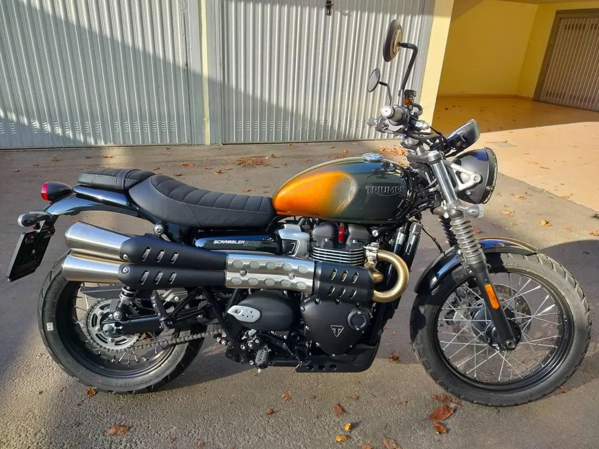 Triumph Scrambler 900 Stealth Edition (2024) (5)