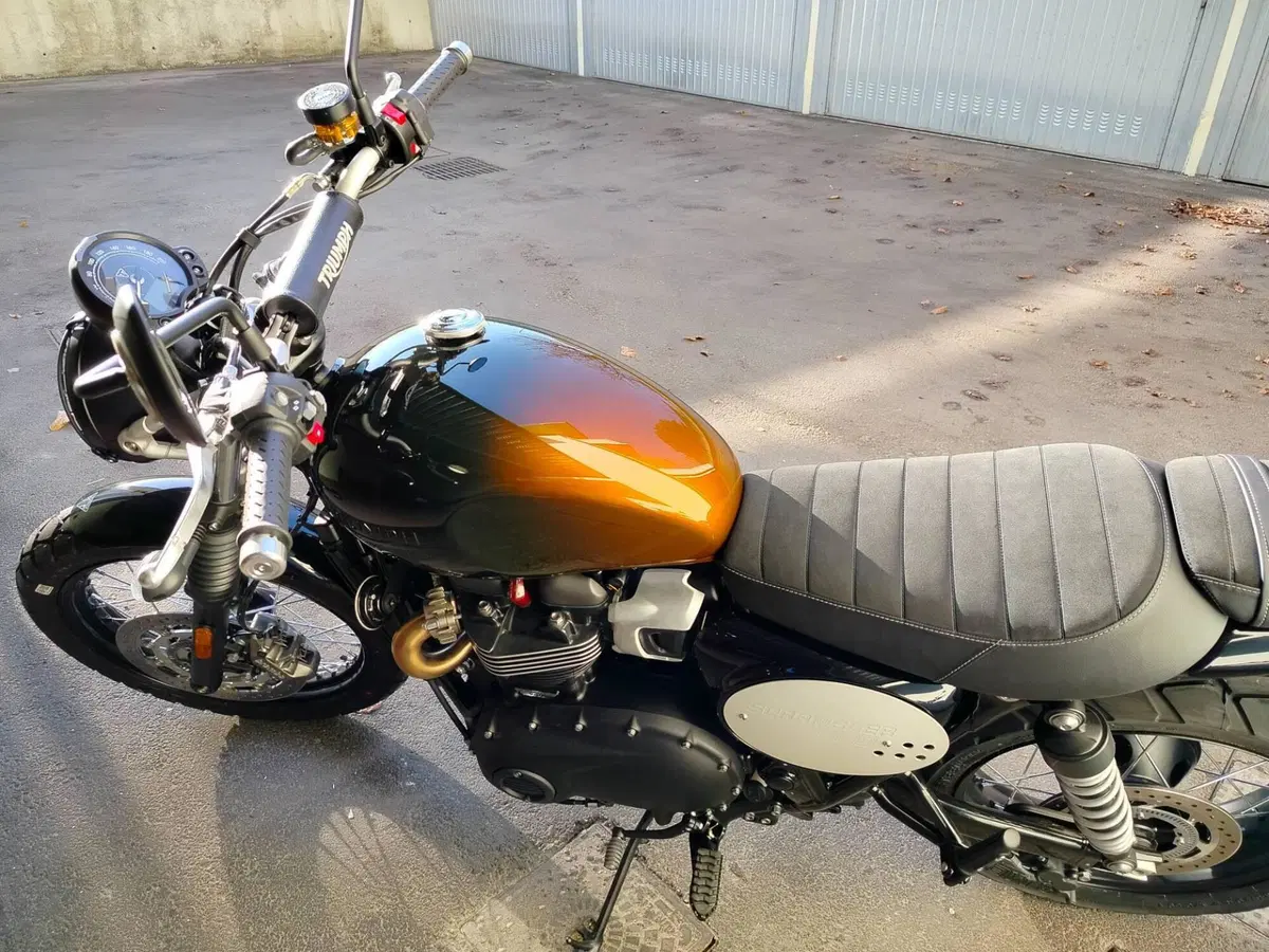 Triumph Scrambler 900 Stealth Edition (2024) (13)