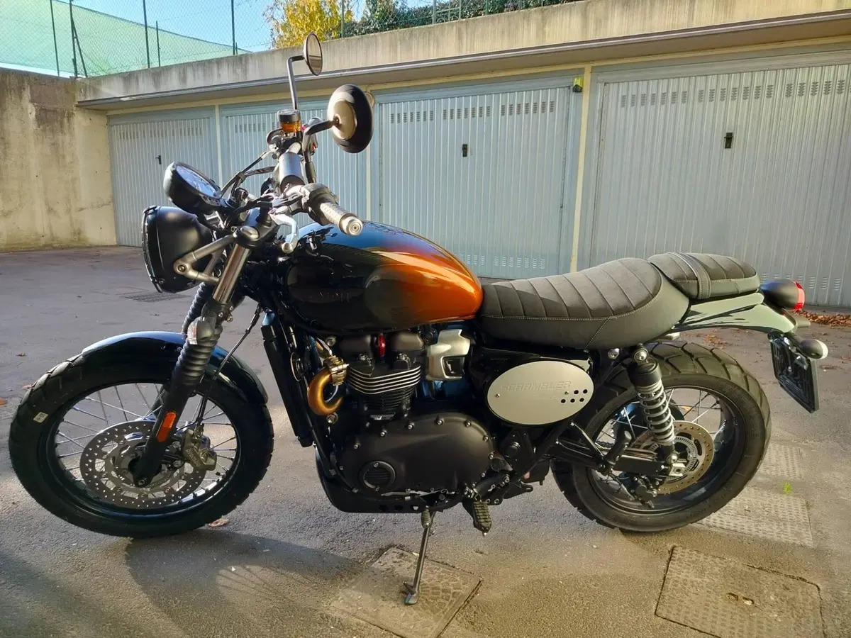 Triumph Scrambler 900 Stealth Edition (2024) (14)