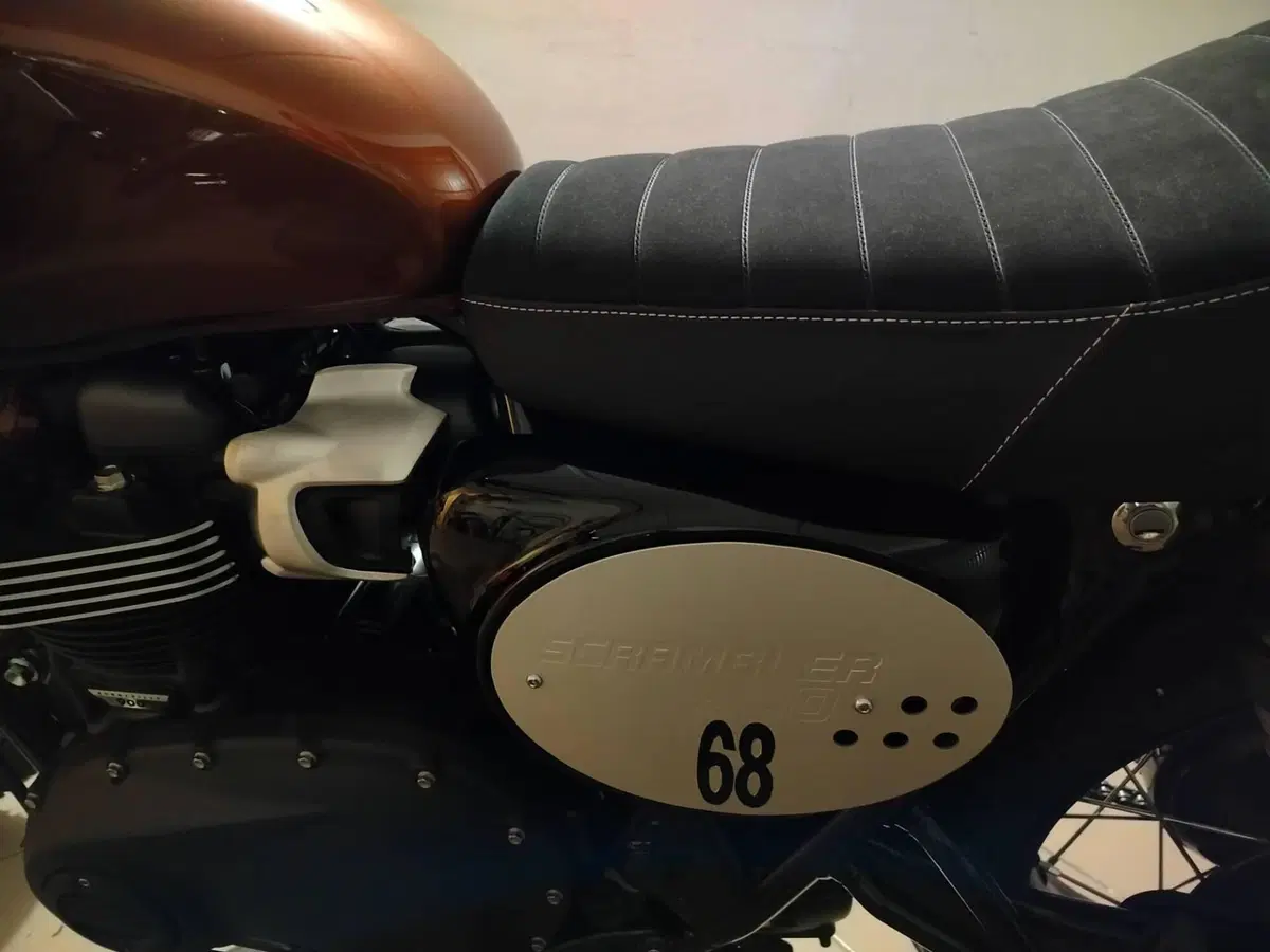 Triumph Scrambler 900 Stealth Edition (2024) (20)