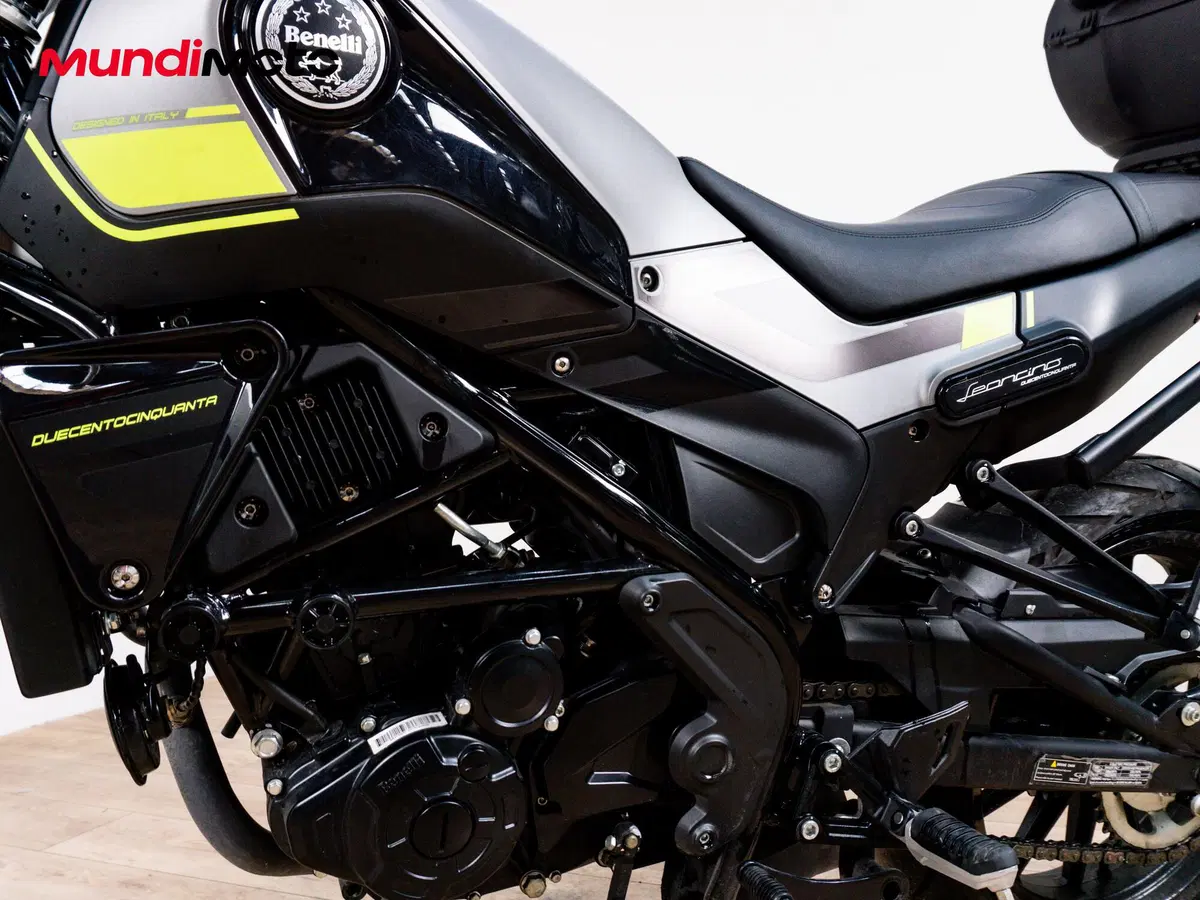 Benelli Leoncino 250 (2019 - 20) (9)