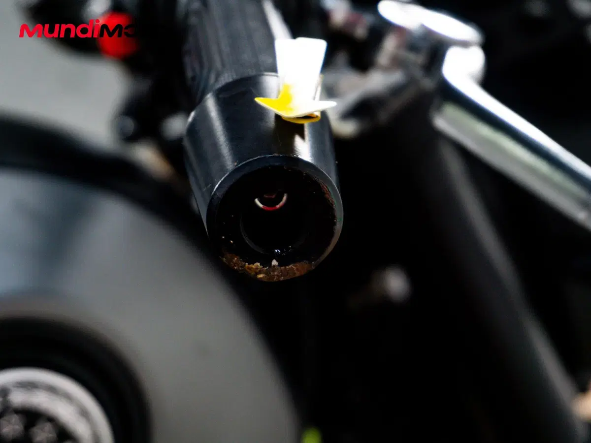Benelli Leoncino 250 (2019 - 20) (18)