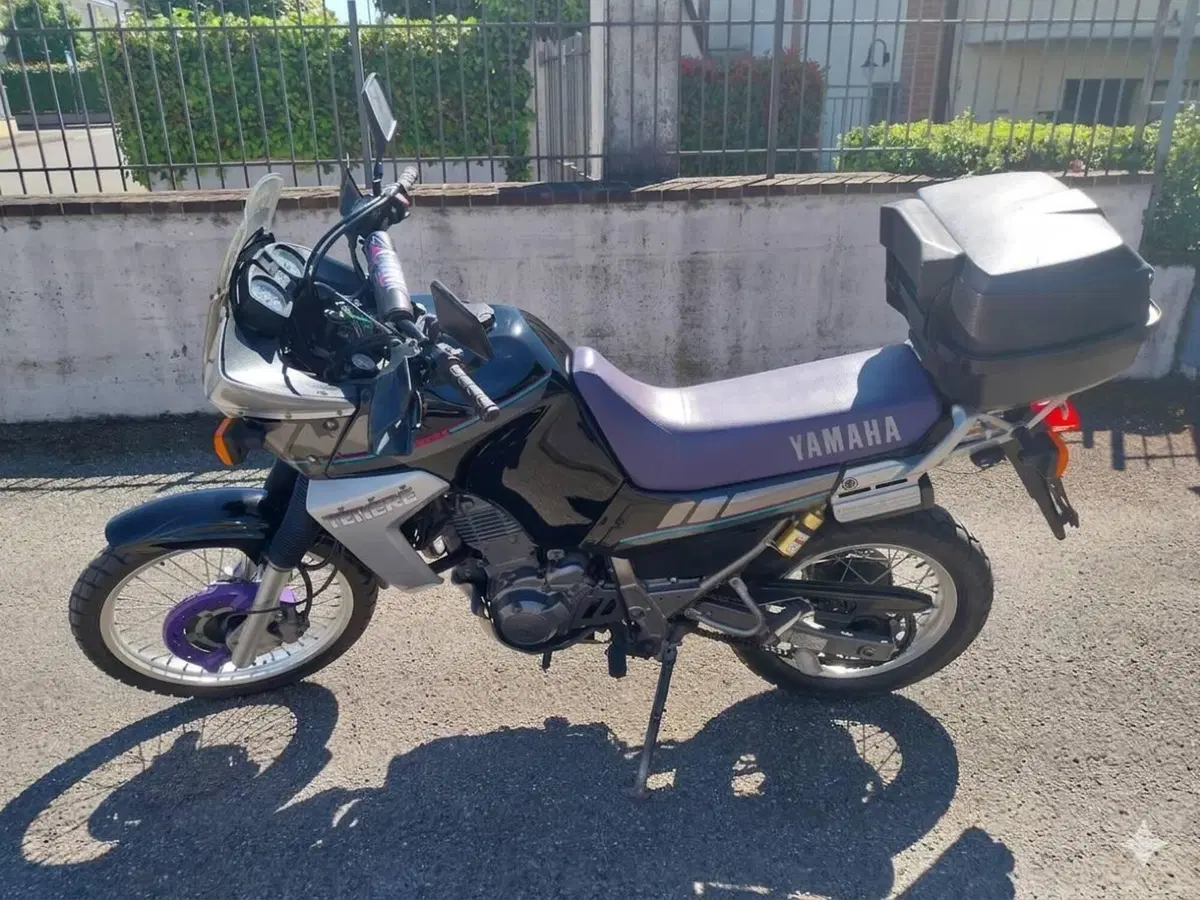 Yamaha XTZ 660 Téneré (1991 - 98) (4)