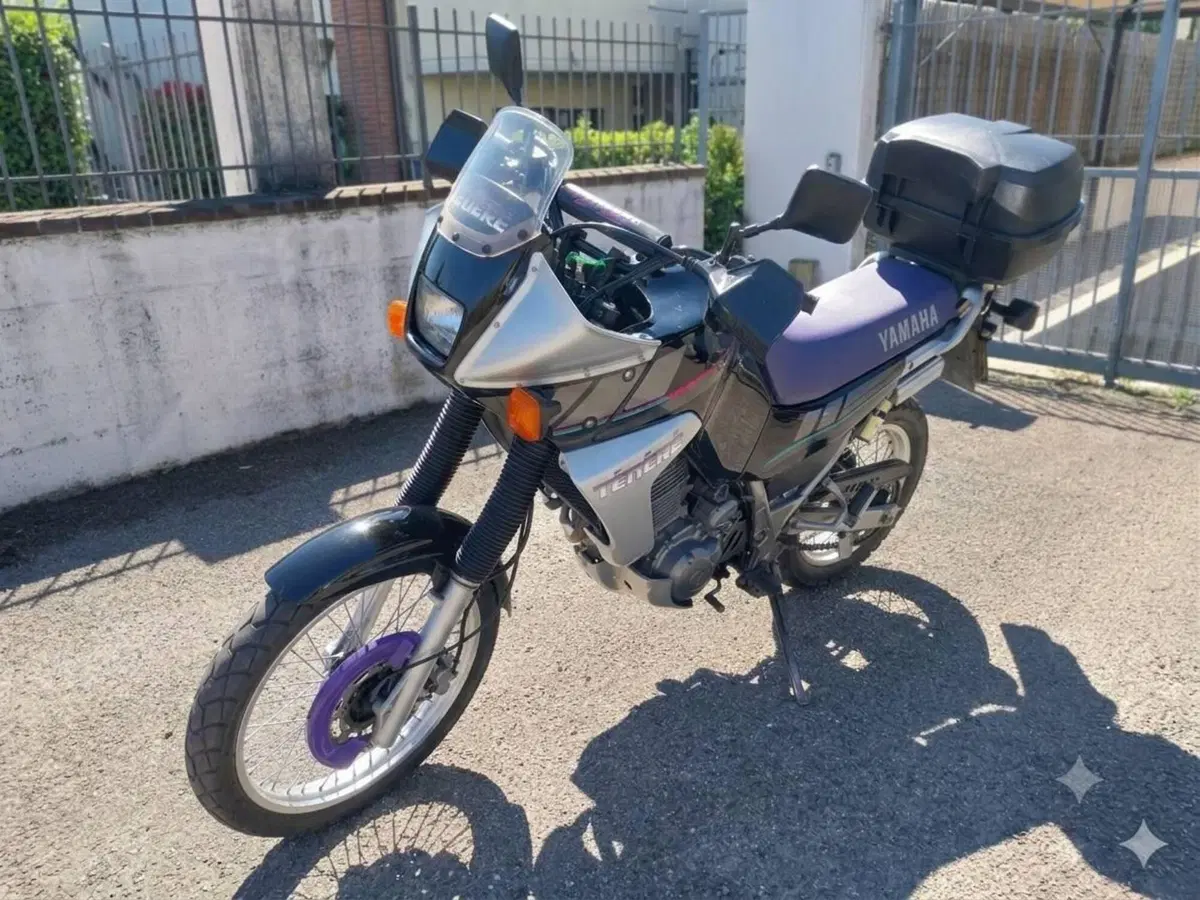 Yamaha XTZ 660 Téneré (1991 - 98) (5)
