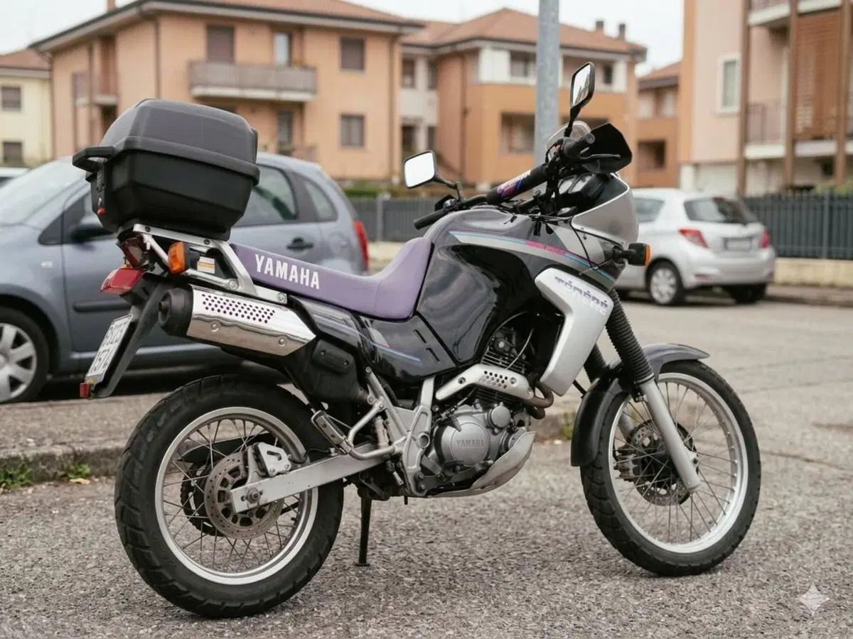 Yamaha XTZ 660 Téneré (1991 - 98) (6)