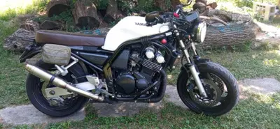 Yamaha FZS 600 Fazer (2002 - 03) usata