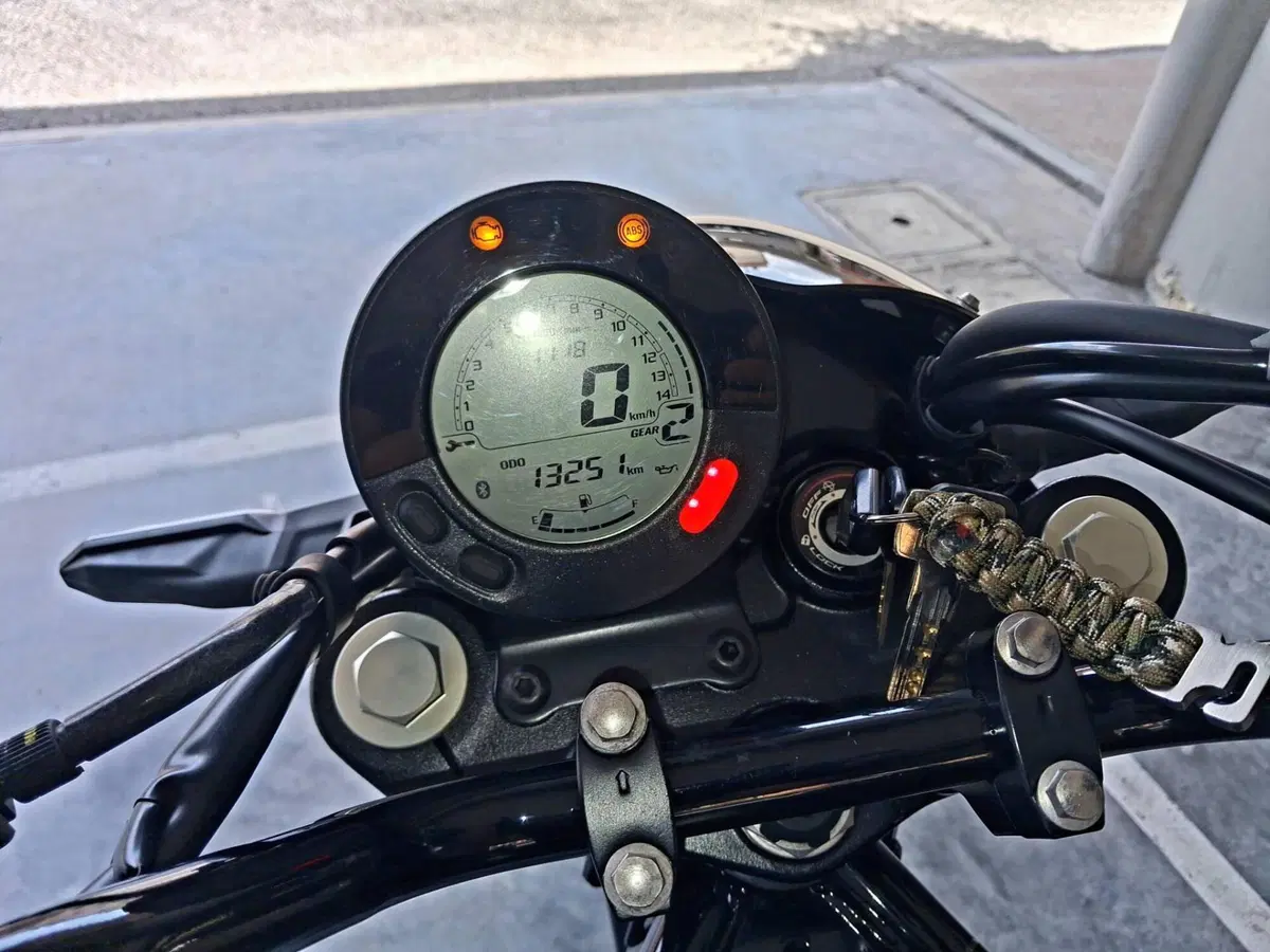 Kawasaki Eliminator 500 SE (2024 - 26) (3)