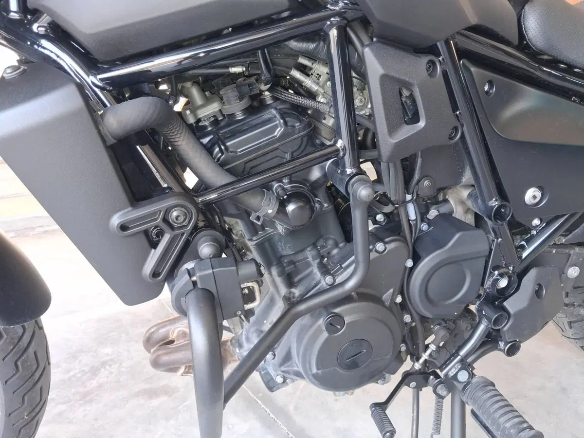 Kawasaki Eliminator 500 SE (2024 - 26) (6)