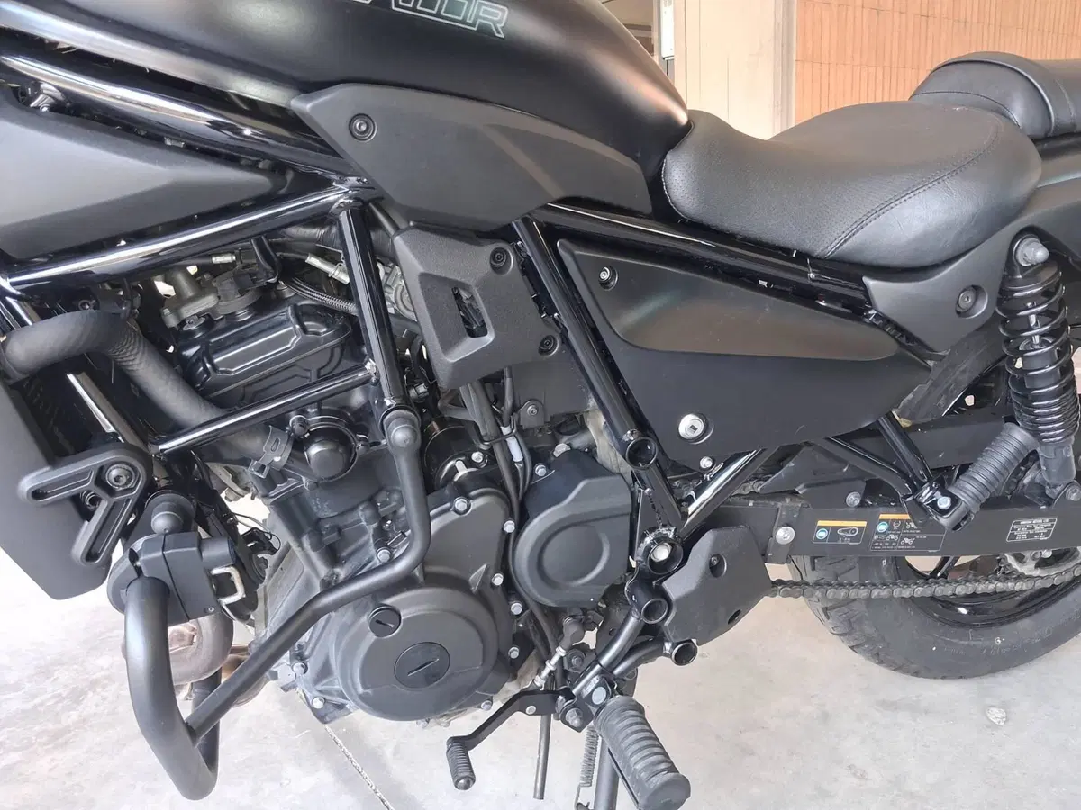 Kawasaki Eliminator 500 SE (2024 - 26) (7)