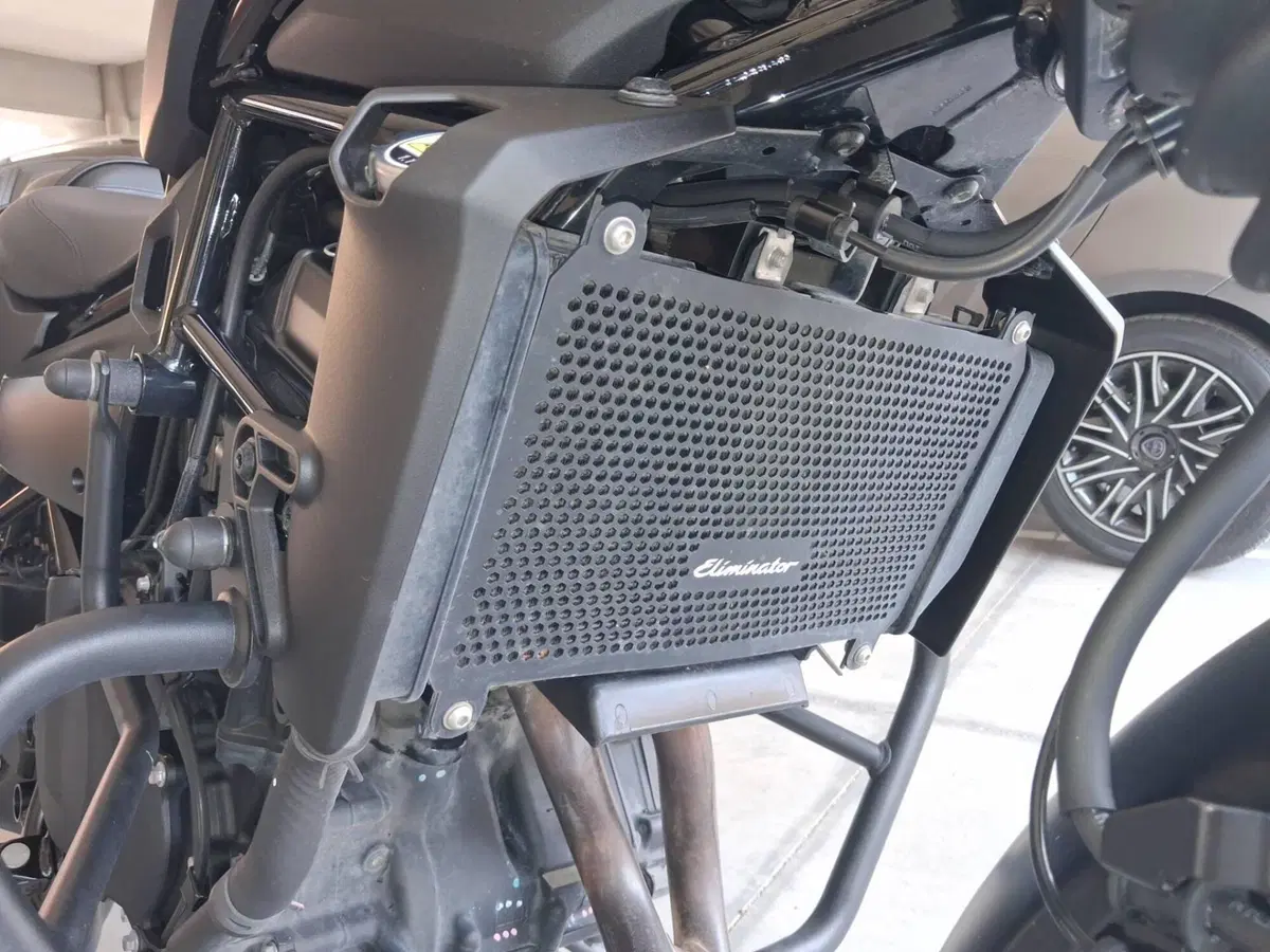 Kawasaki Eliminator 500 SE (2024 - 26) (16)