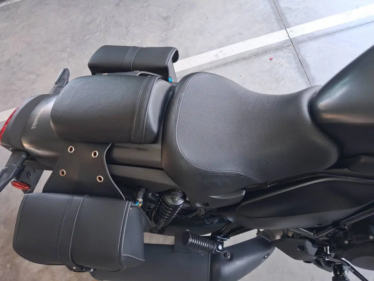 Kawasaki Eliminator 500 SE (2024 - 26) (18)