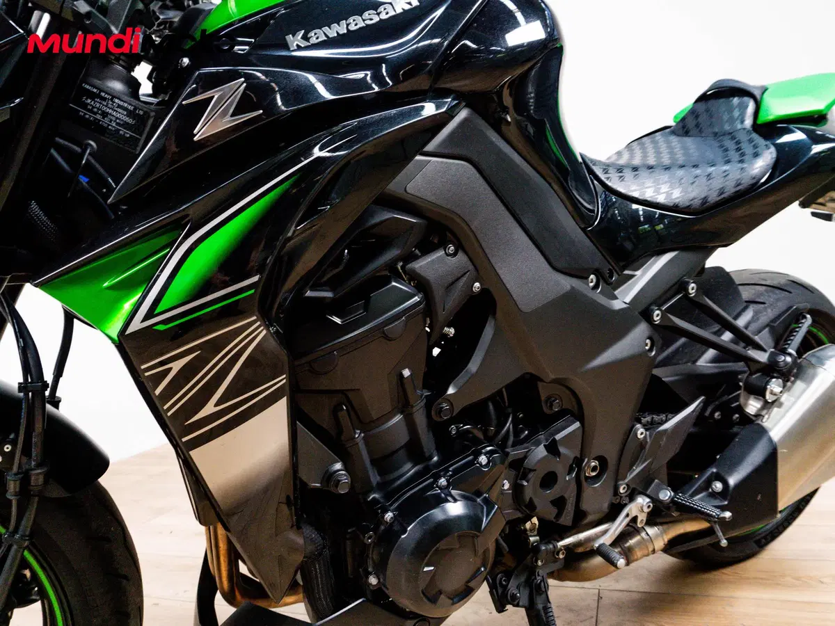 Kawasaki Z 1000 ABS (2010 - 13) (9)
