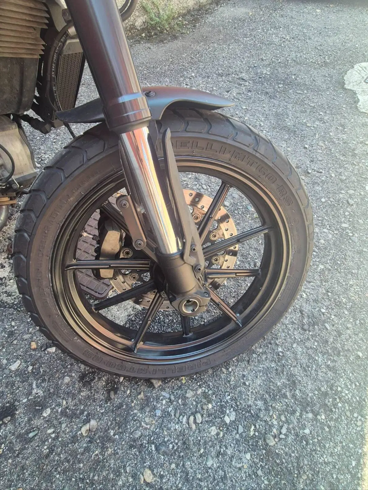 Ducati Scrambler 800 Classic (2015 - 16) (5)