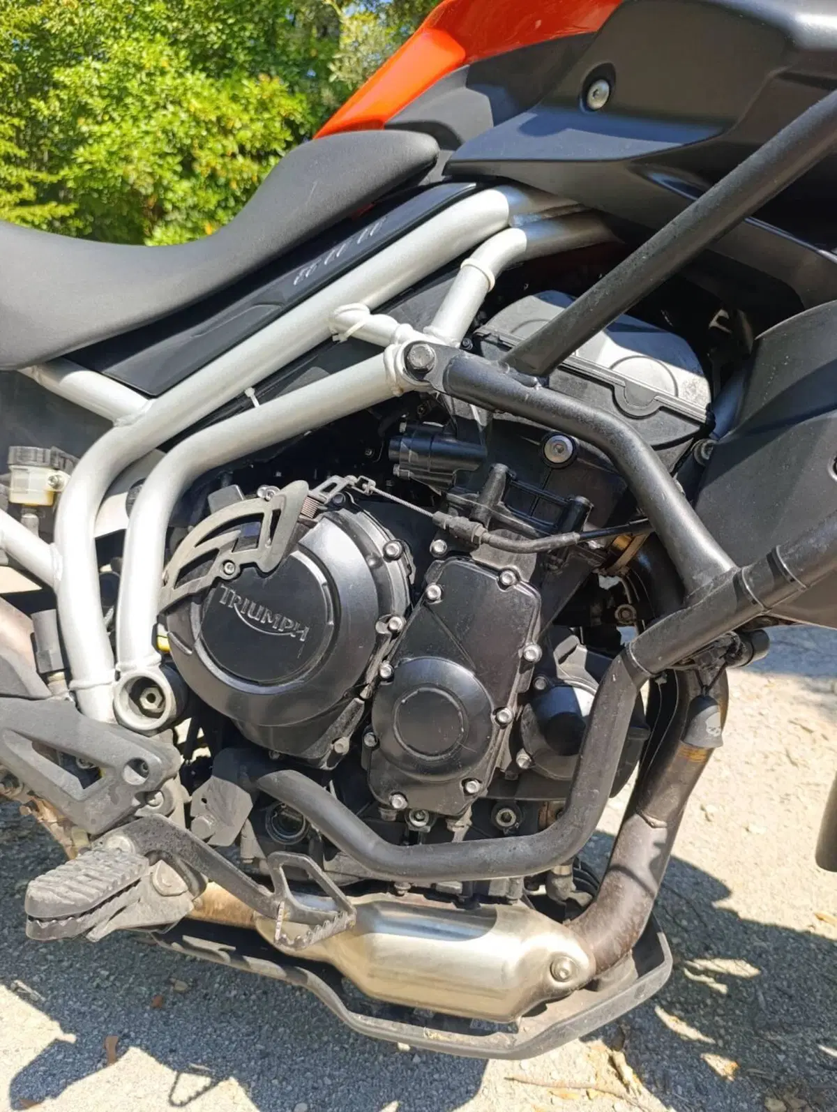Triumph Tiger 800 XC ABS (2010 - 14) (6)