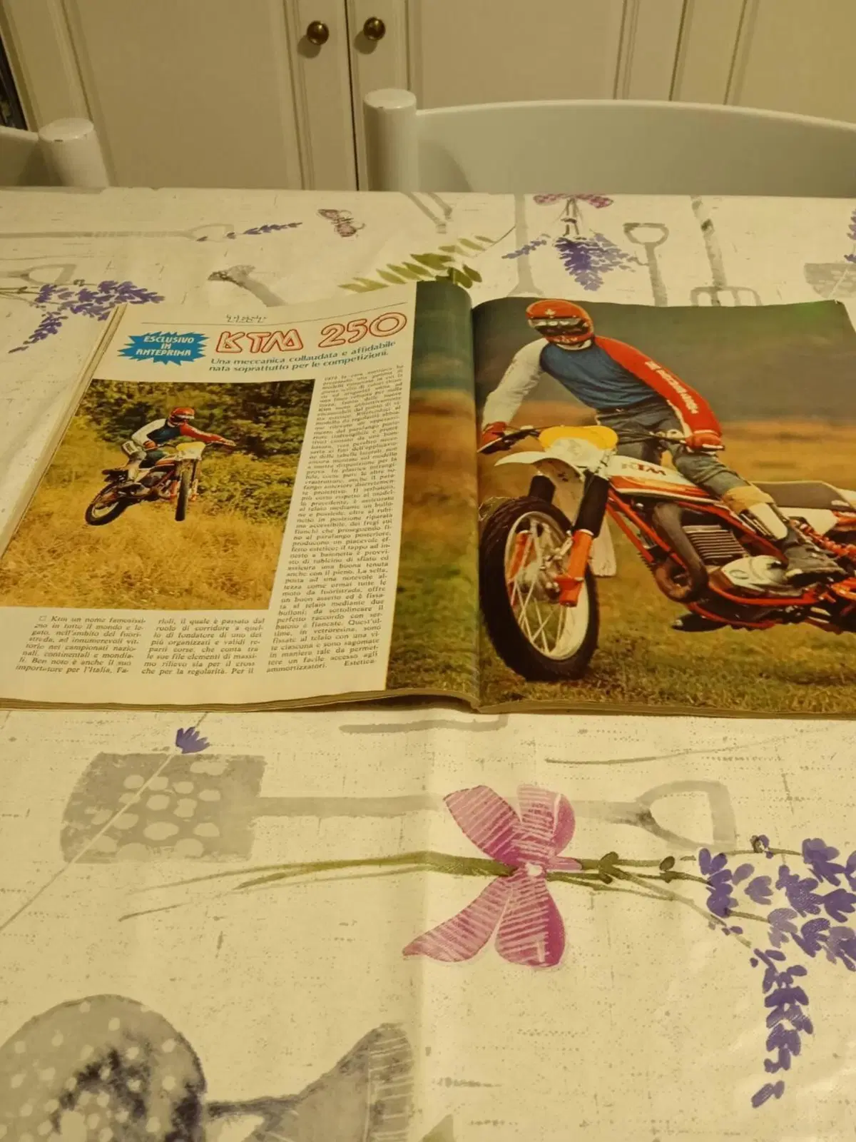 KTM KTM 250 GS 80 (11)