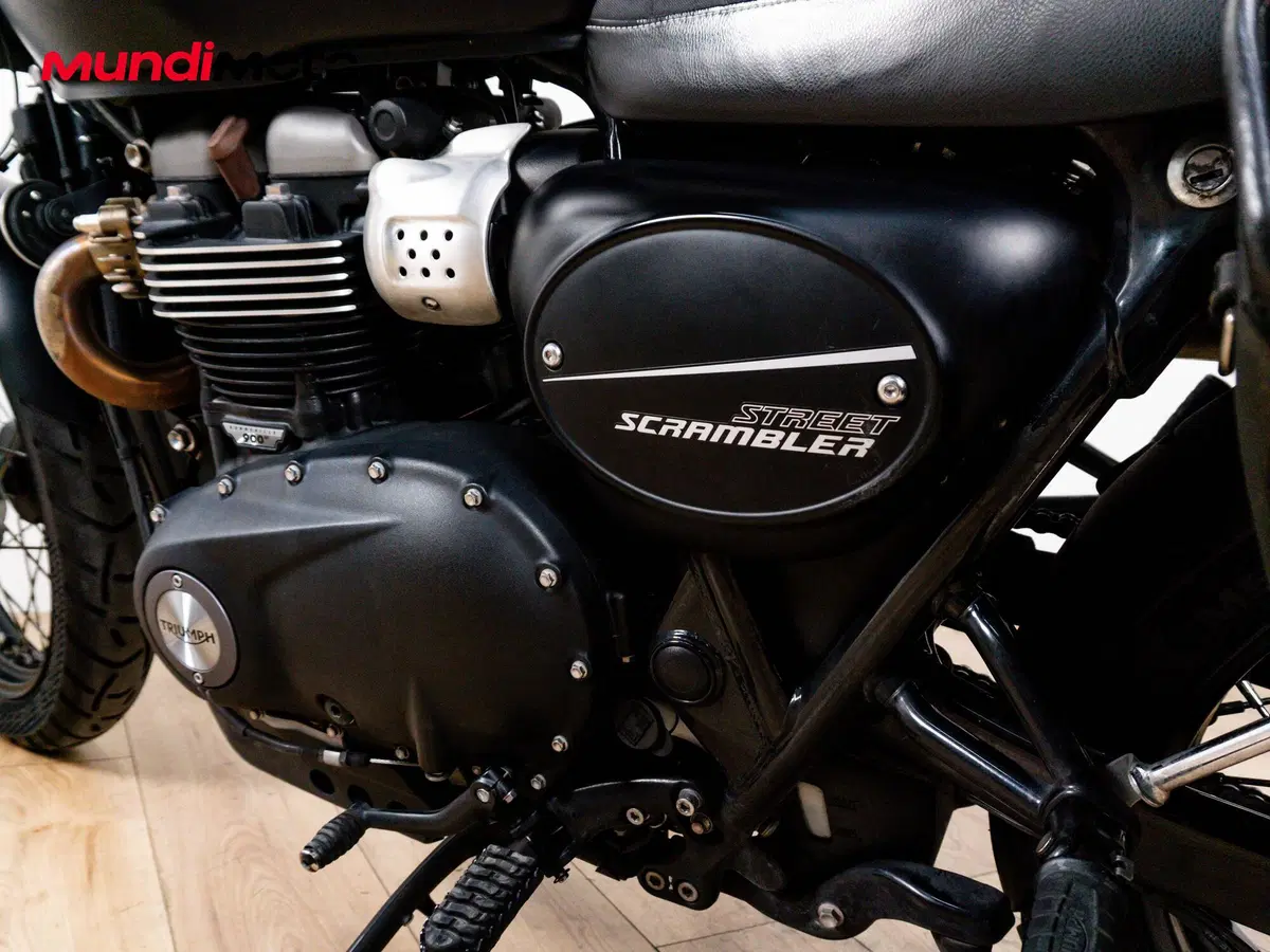 Triumph Street Scrambler 900 (2017 - 18) (10)