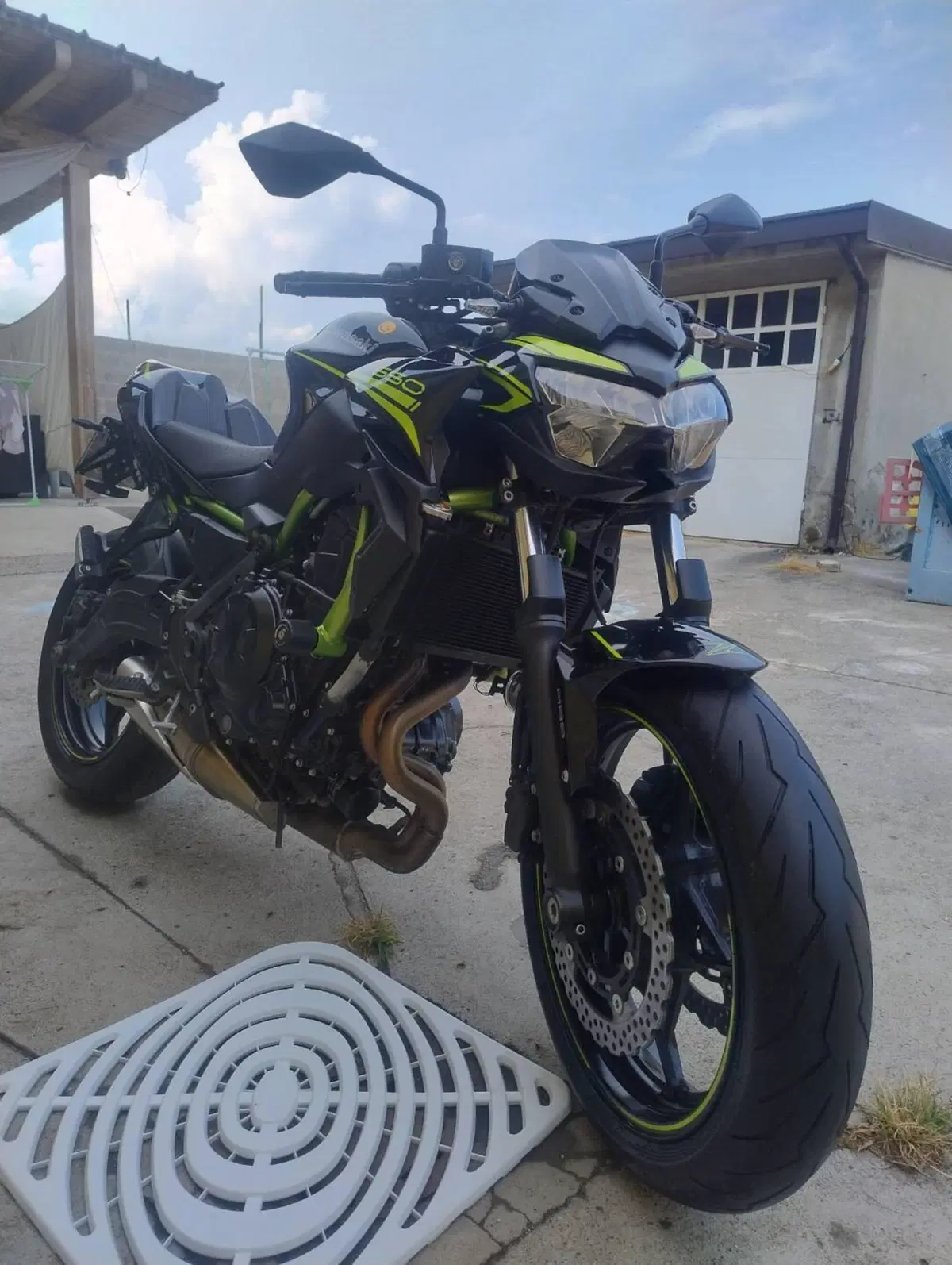 Kawasaki Z 650 (2020) (8)