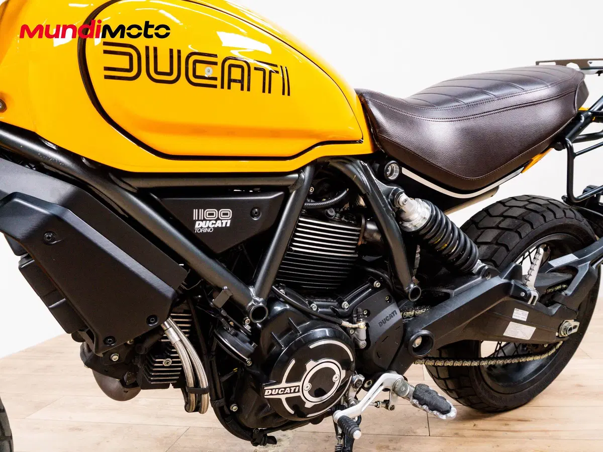 Ducati Scrambler 1100 Tribute Pro (2022 - 24) (9)