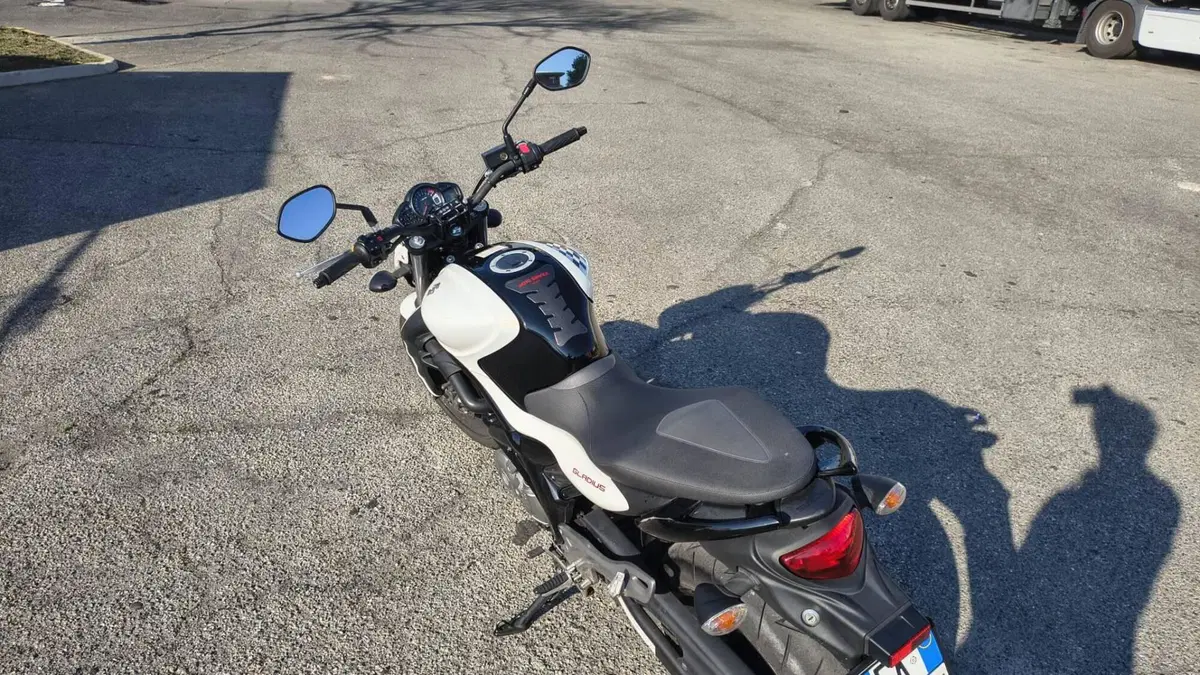 Suzuki Gladius 650 SFV (2009 - 15) (3)