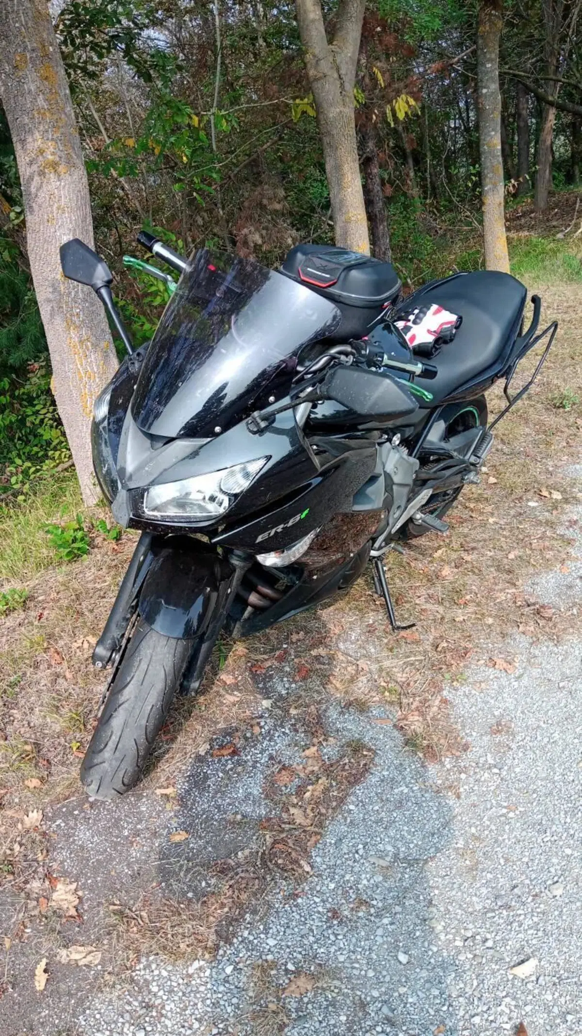 Kawasaki ER-6F (2009 - 11) (2)