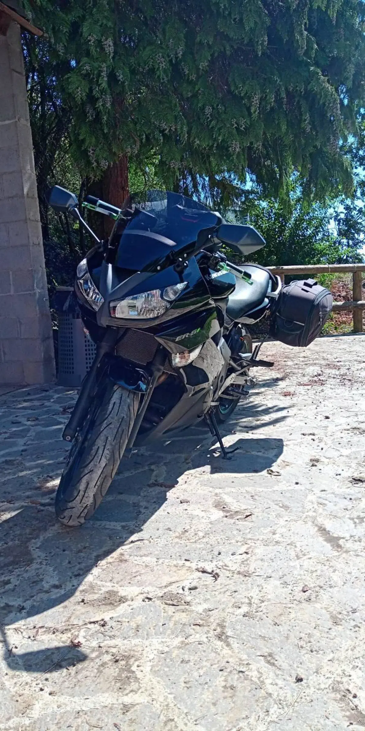 Kawasaki ER-6F (2009 - 11) (5)