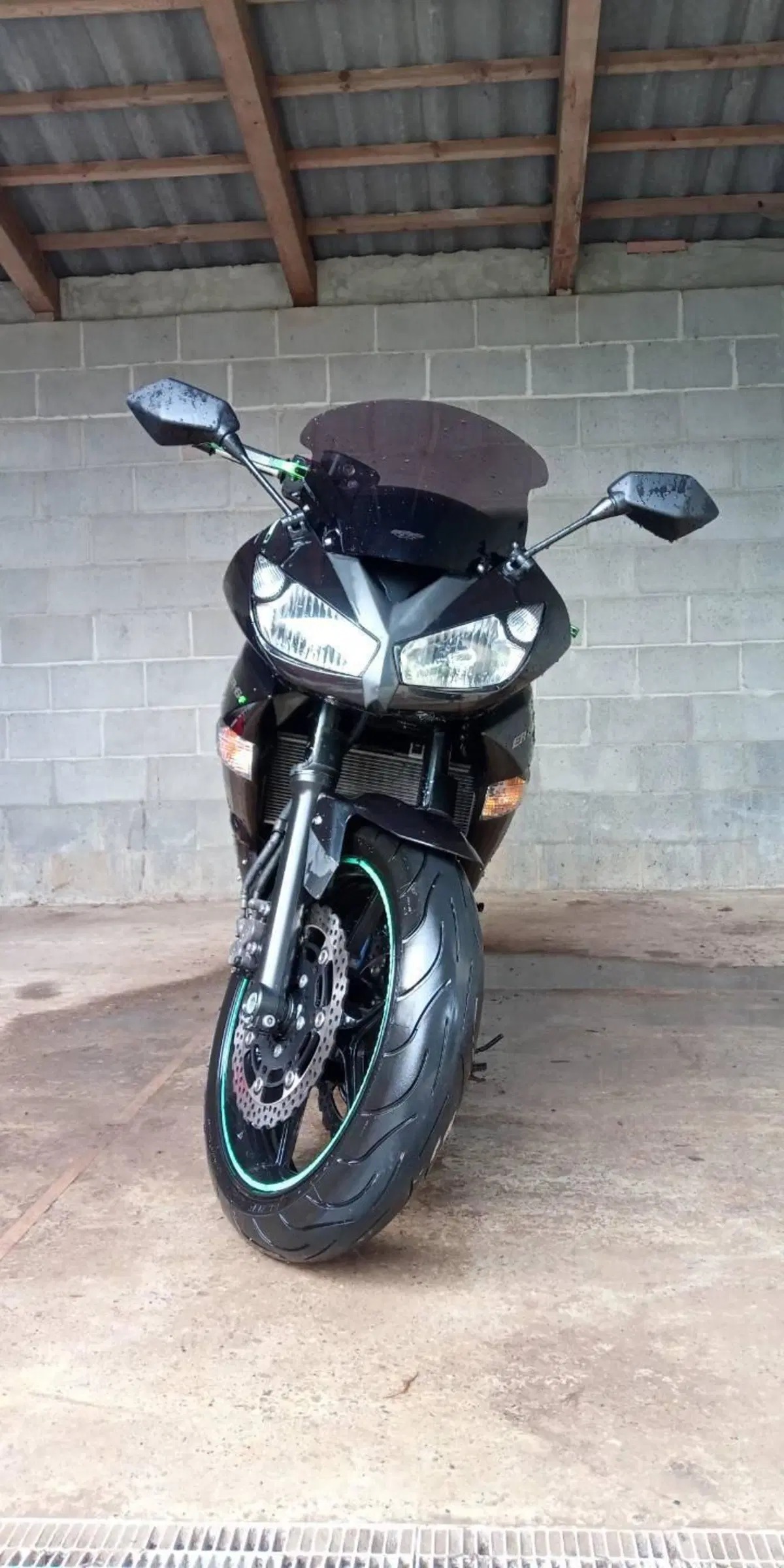 Kawasaki ER-6F (2009 - 11) (7)