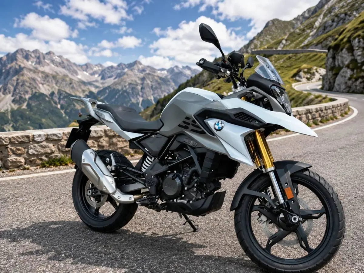 Bmw G 310 GS (2021 - 25)