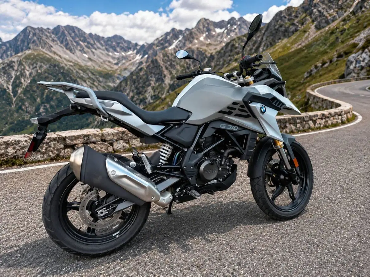 Bmw G 310 GS (2021 - 25) (2)