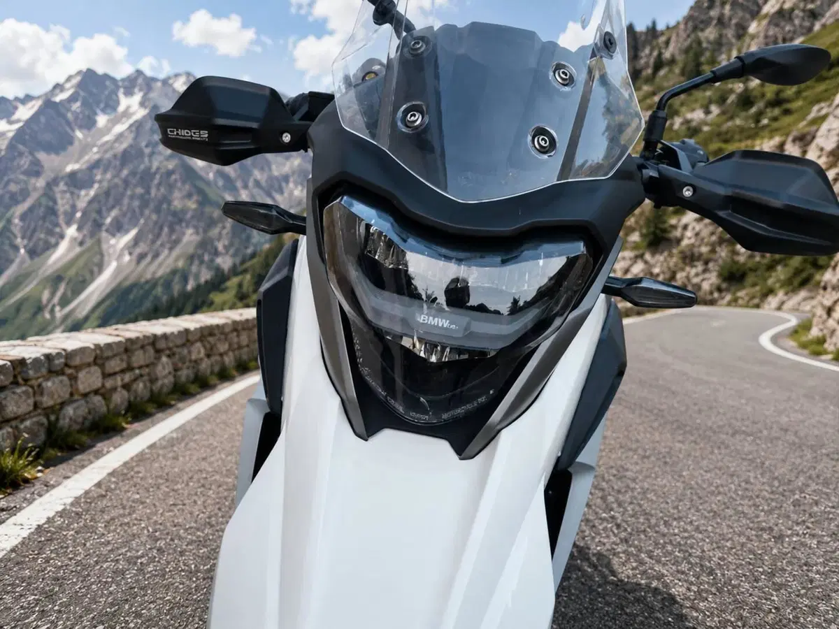 Bmw G 310 GS (2021 - 25) (3)