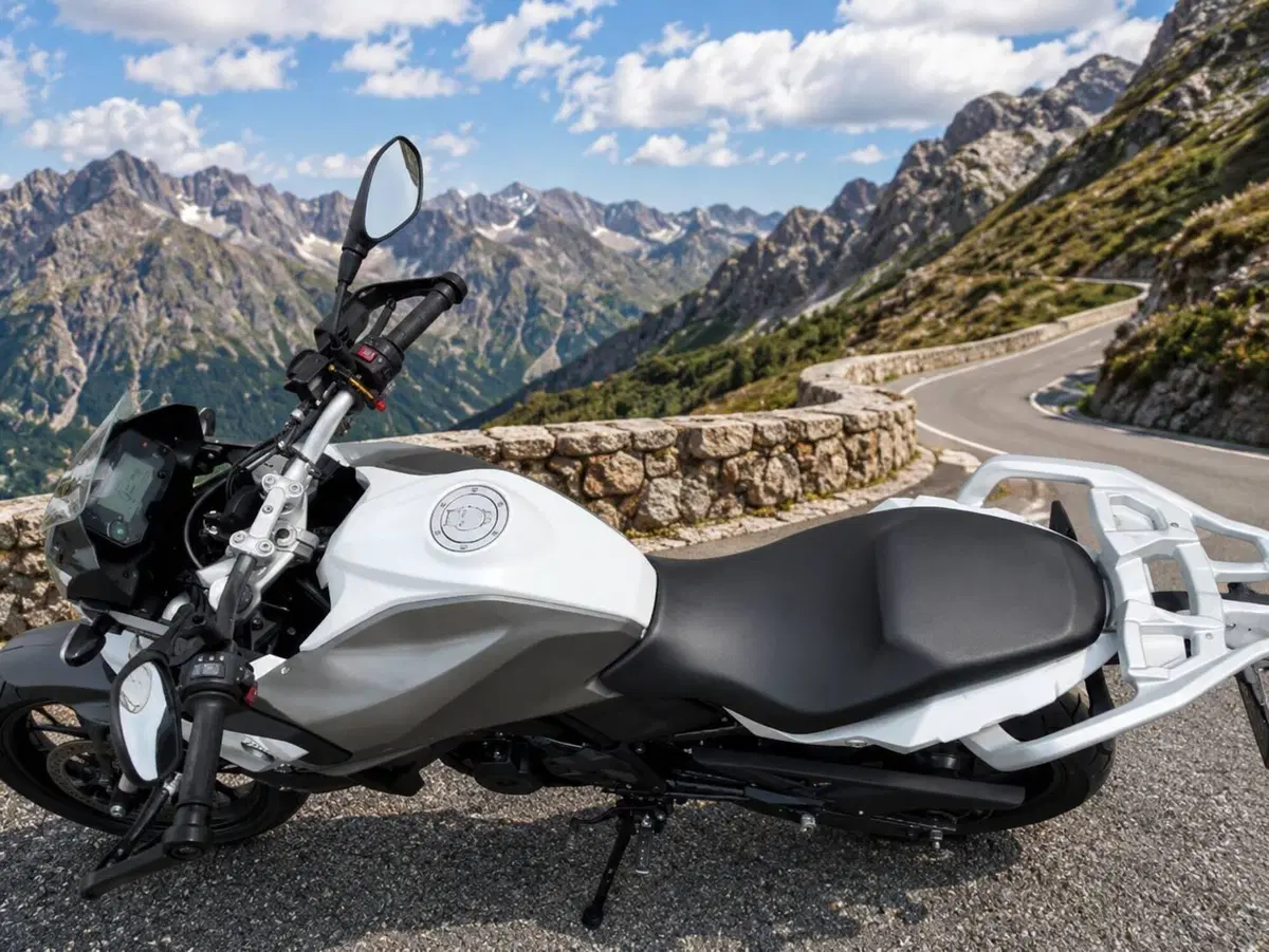 Bmw G 310 GS (2021 - 25) (4)