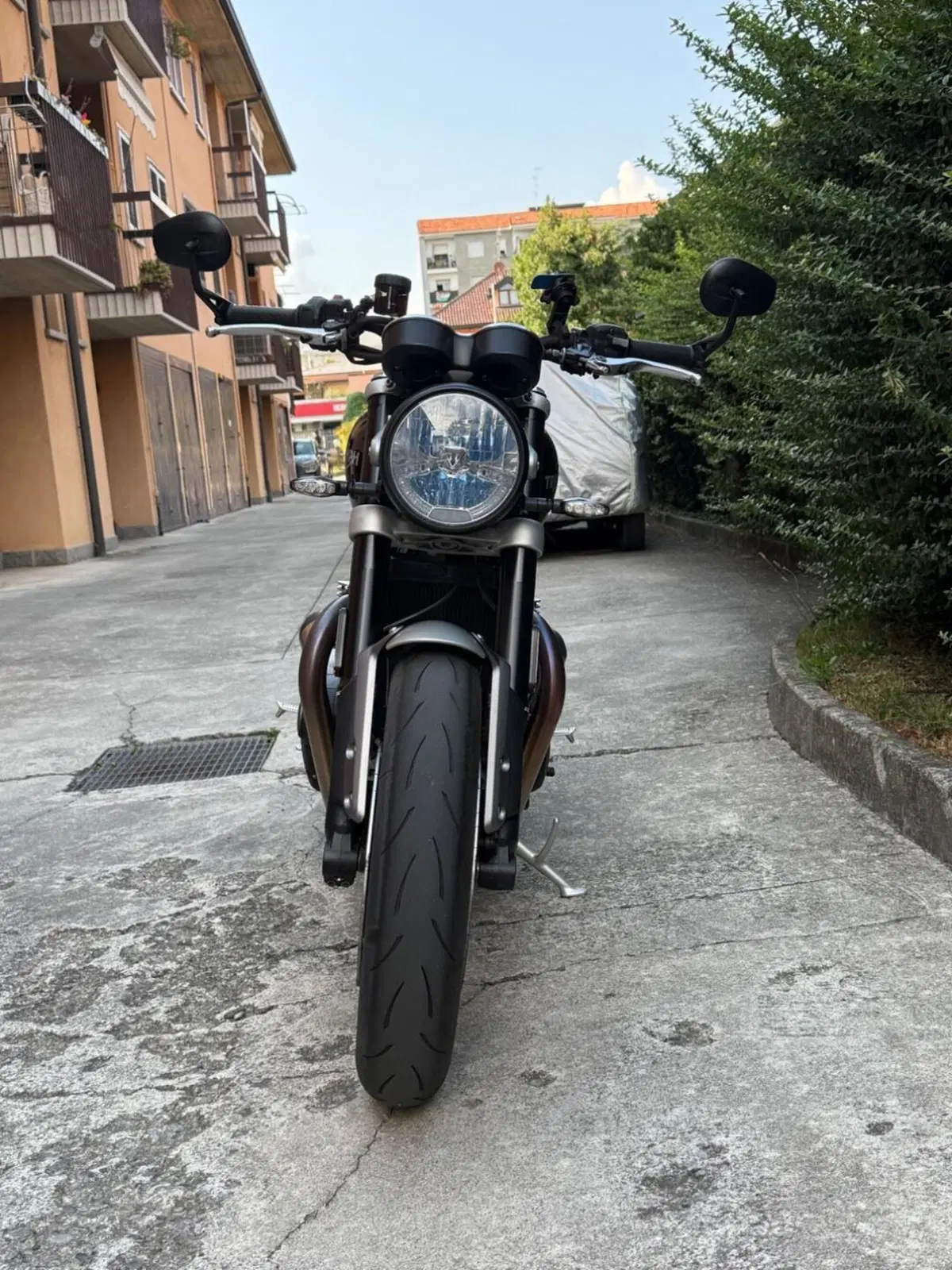 Triumph Speed Twin 1200 (2021 - 24) (3)
