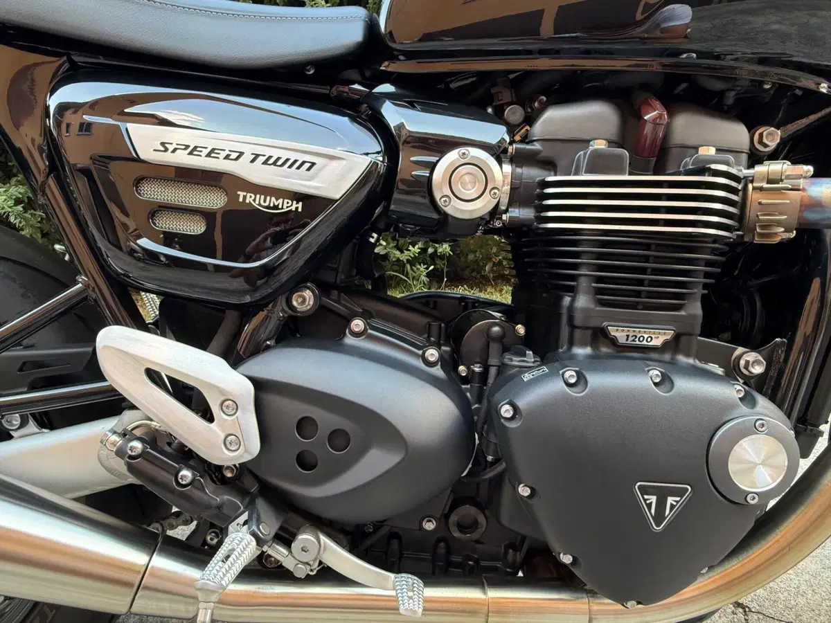 Triumph Speed Twin 1200 (2021 - 24) (8)
