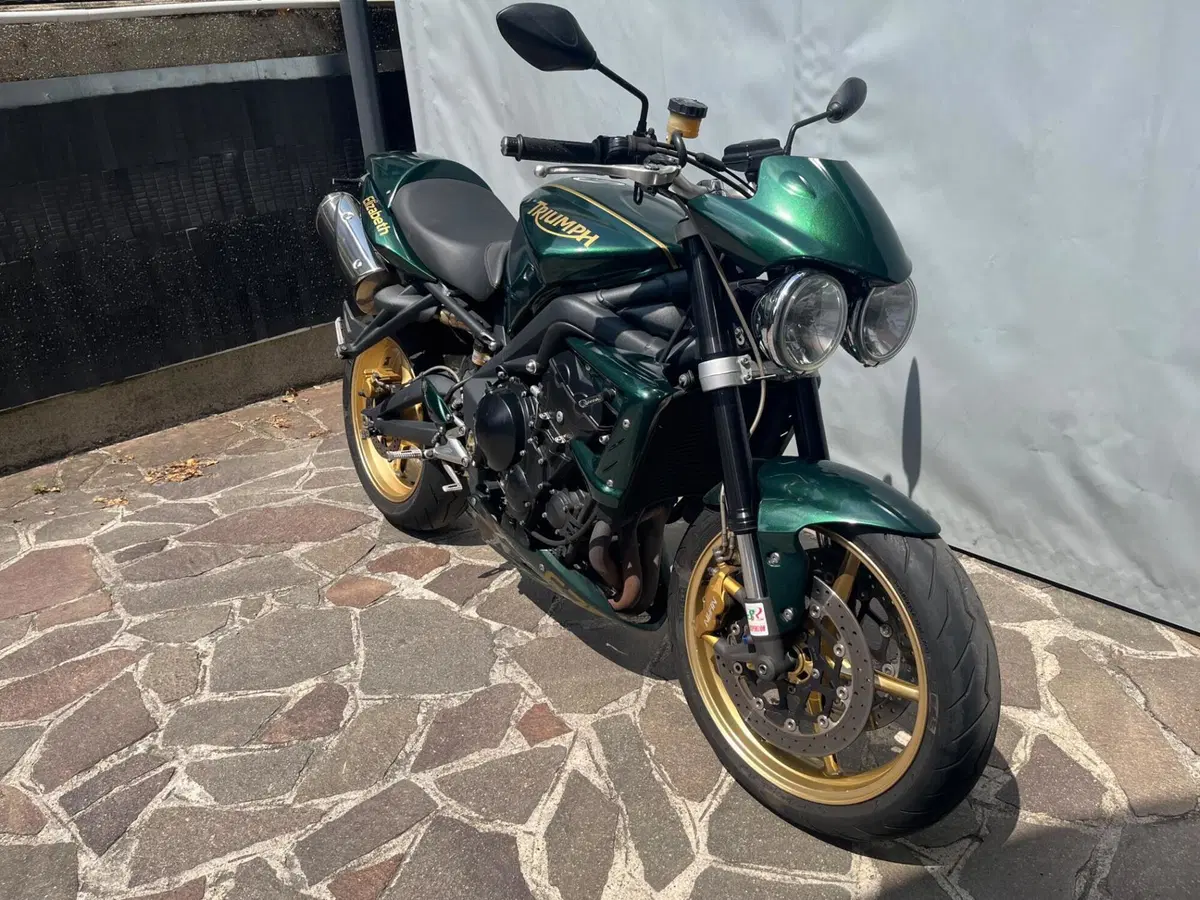Triumph Street Triple R (2009 - 12) (2)