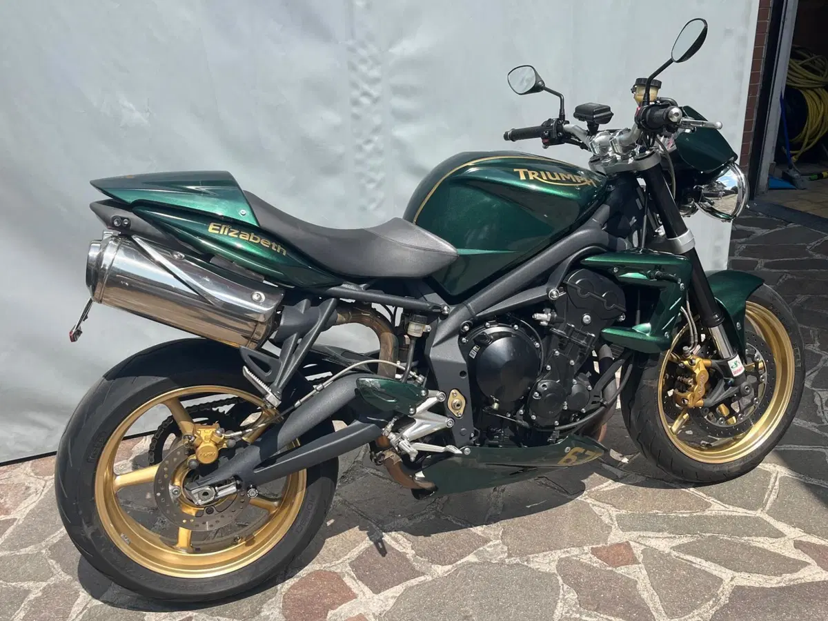 Triumph Street Triple R (2009 - 12) (4)