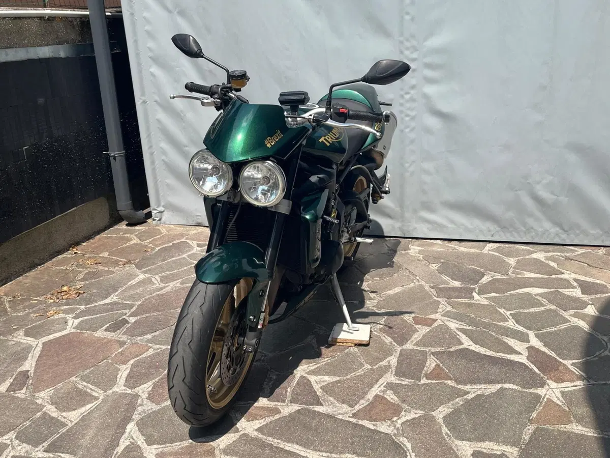 Triumph Street Triple R (2009 - 12) (5)