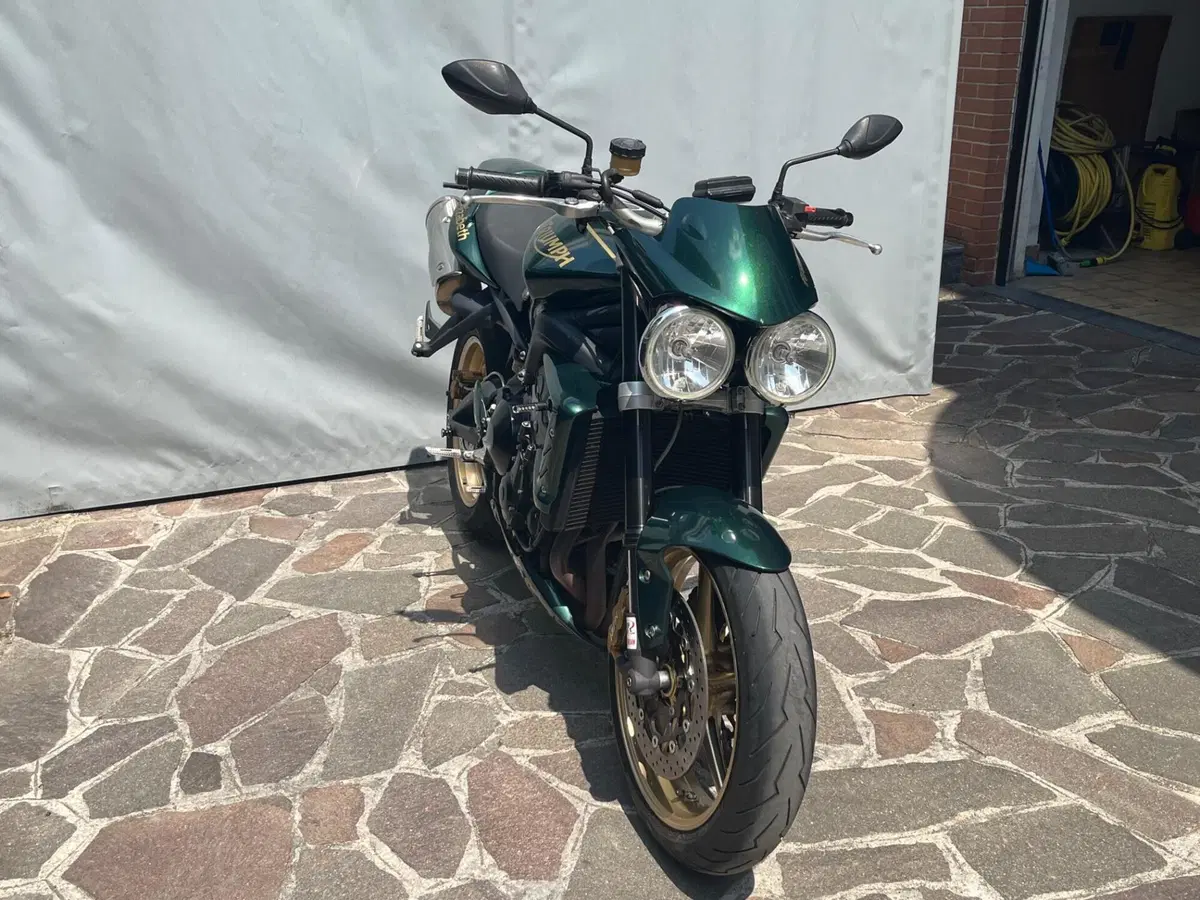 Triumph Street Triple R (2009 - 12) (7)
