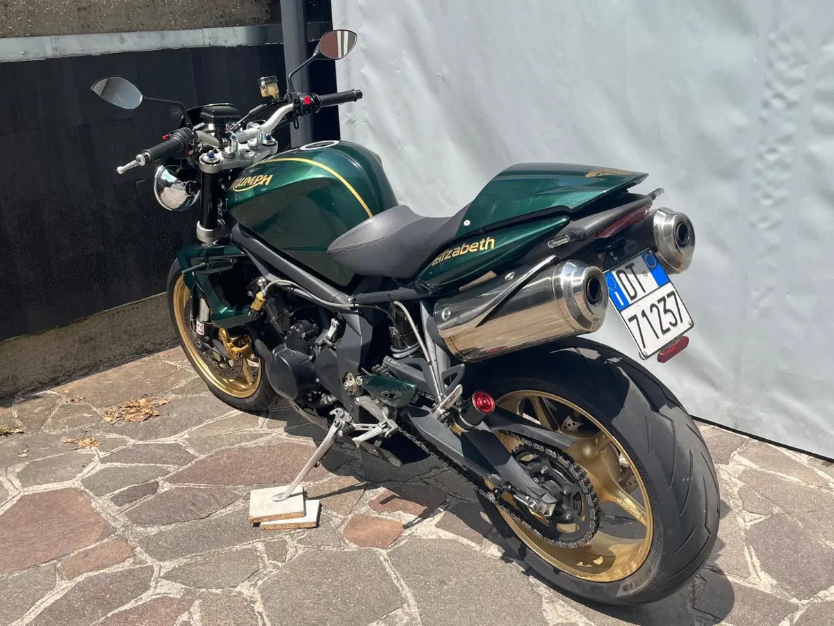 Triumph Street Triple R (2009 - 12) (6)