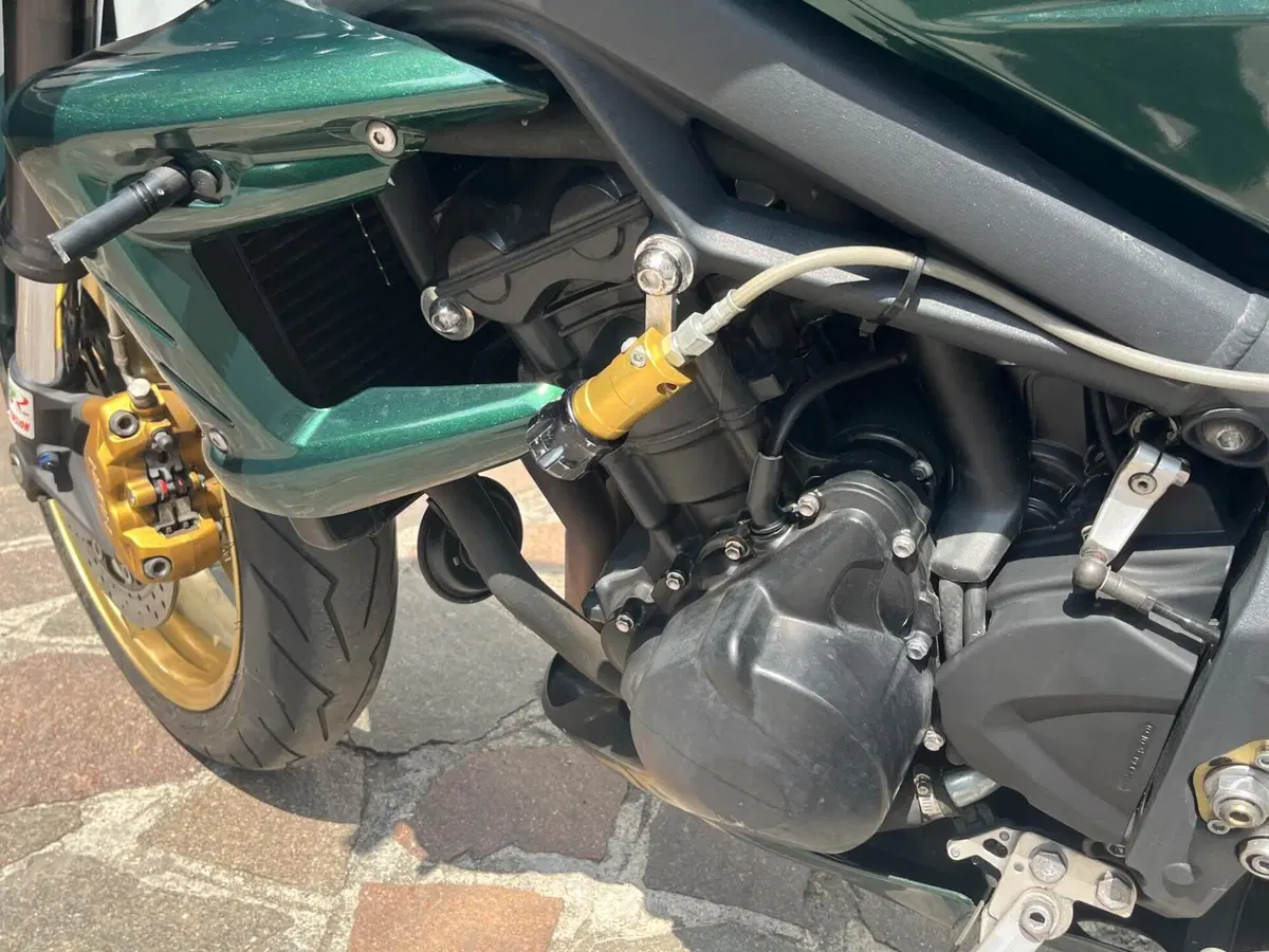 Triumph Street Triple R (2009 - 12) (13)