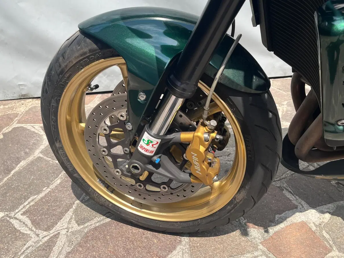 Triumph Street Triple R (2009 - 12) (14)