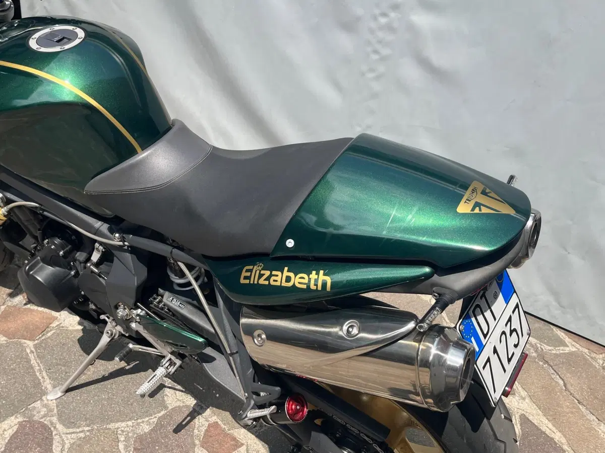Triumph Street Triple R (2009 - 12) (16)
