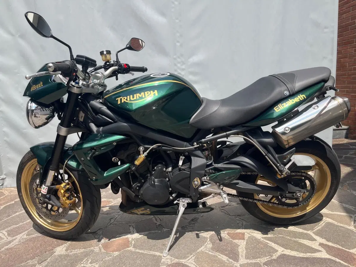 Triumph Street Triple R (2009 - 12) (17)
