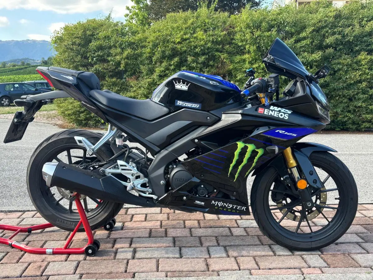 Yamaha YZF R125 (2019 - 20) (4)