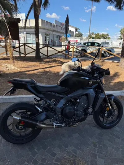 Yamaha MT-09 (2024 - 26) usata