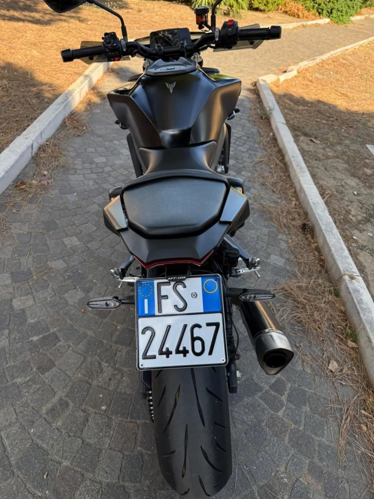 Yamaha MT-09 (2024 - 26) (4)