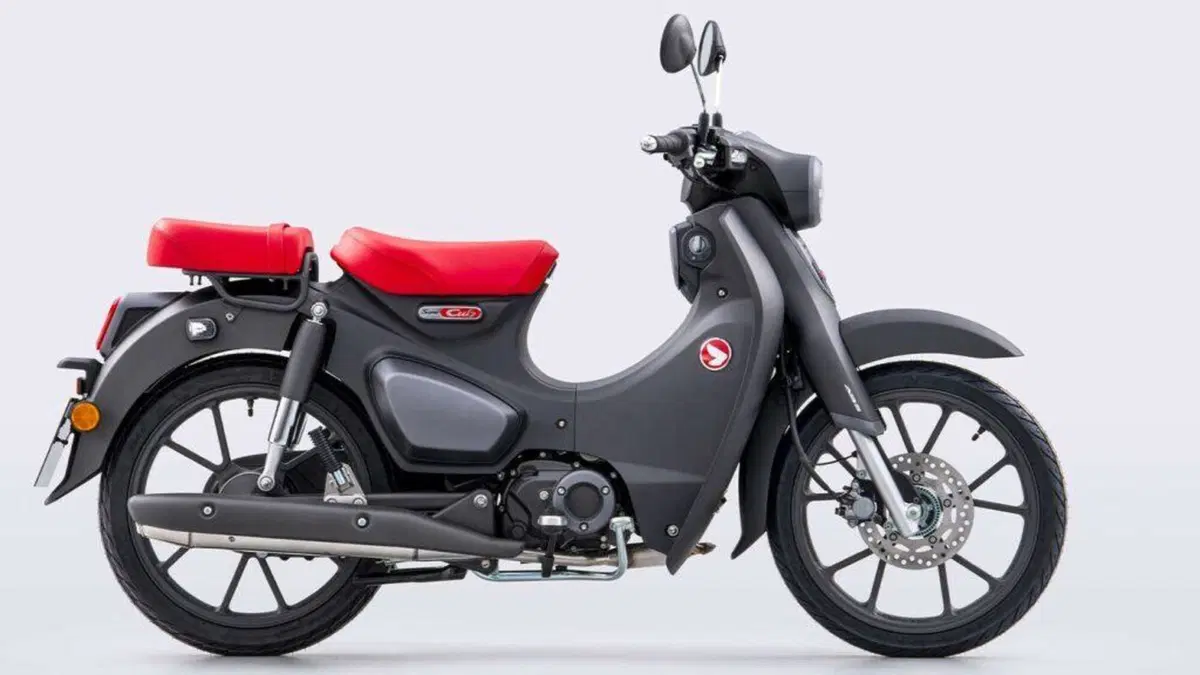 Honda Super Cub C125 (2022 - 26)