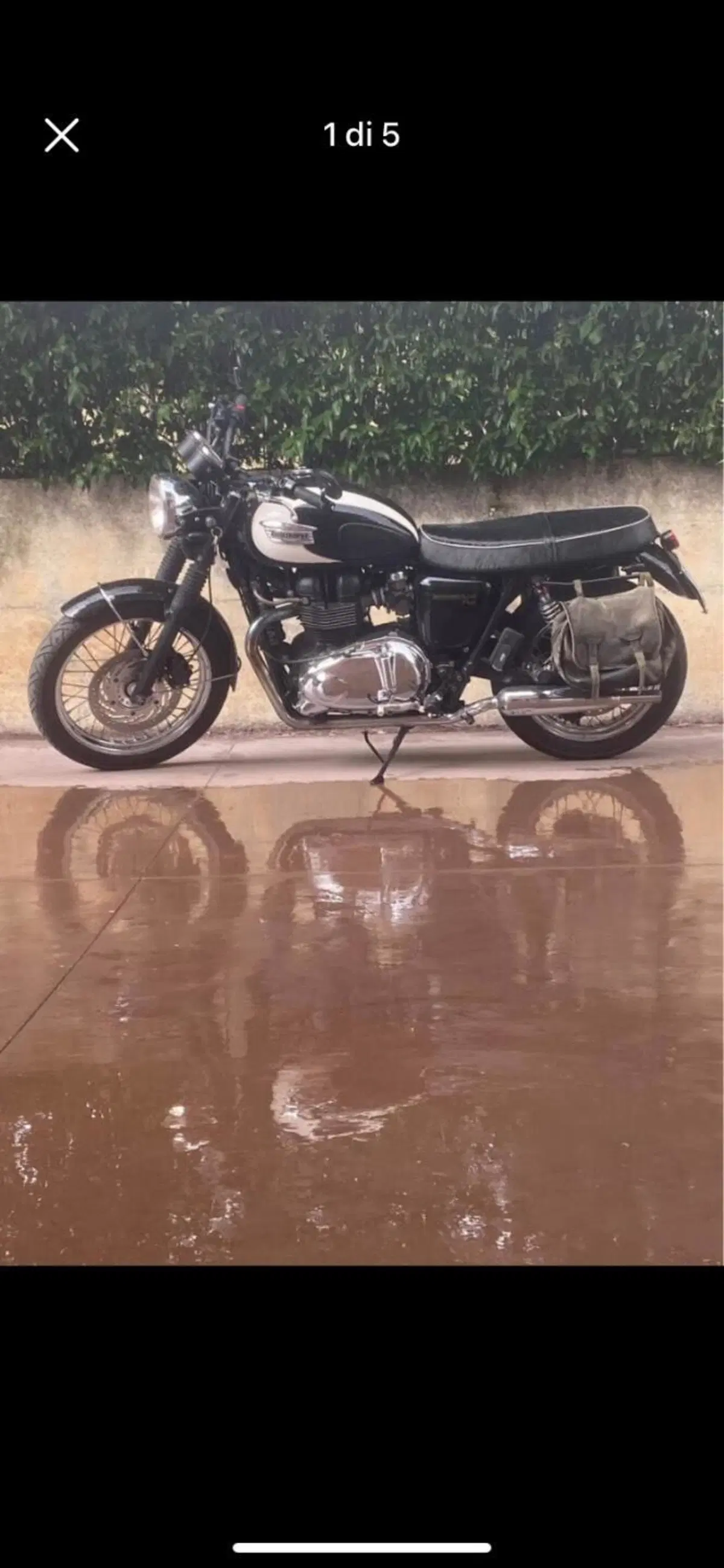 Triumph Bonneville T100 (2008 - 16)