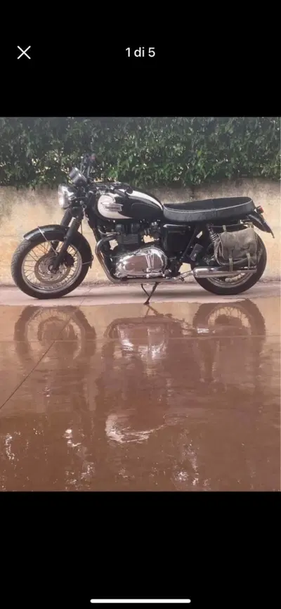 Triumph Bonneville T100 (2008 - 16) usata