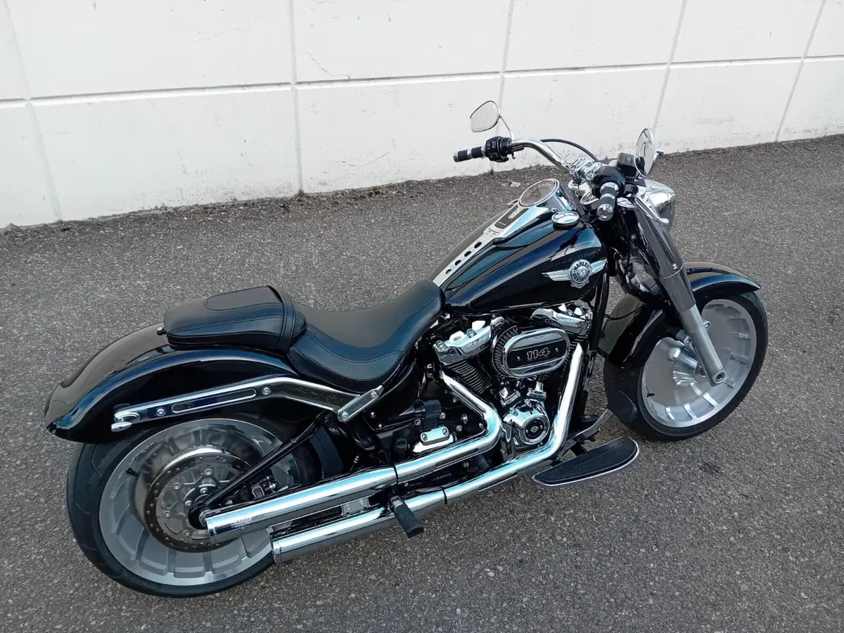 Harley-Davidson Fat Boy 114 (2021 - 24) (3)
